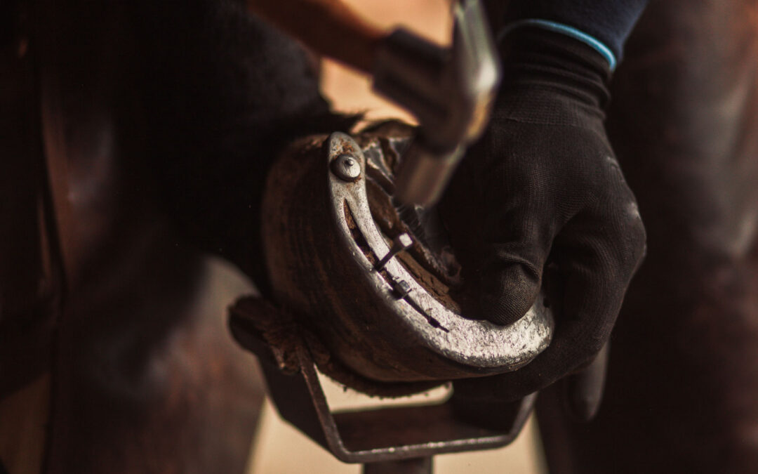 For Want of a Nail: How a Single Part Can Kill Readiness